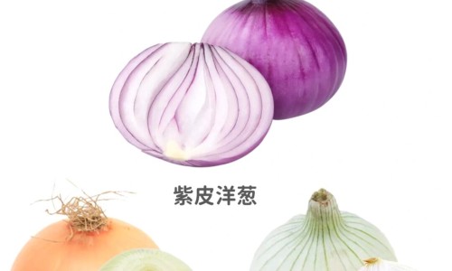 炒熟的糙米泡水喝什么功效网糙米炒过后煮水的功效与作用知识网站,分享炒好的糙米直接冲开水喝吗大全